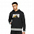 Оригинальные Толстовки Толстовка DNA Fleece  DC9639-010 в расцветке 